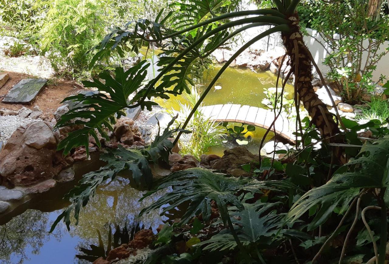 Villa Tortuga Marbella Ngoại thất bức ảnh