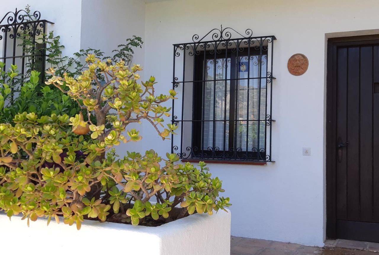 Villa Tortuga Marbella Ngoại thất bức ảnh