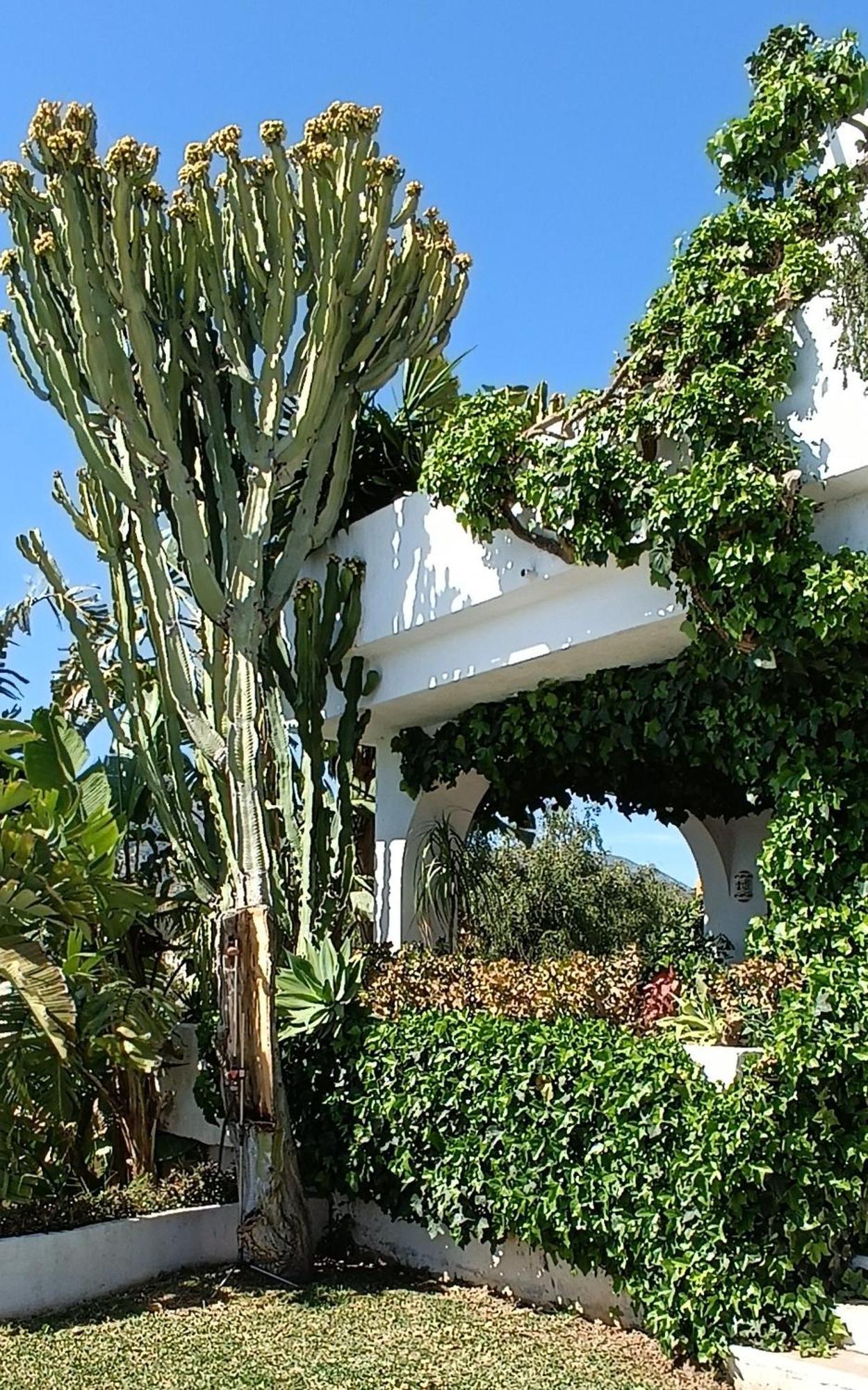 Villa Tortuga Marbella Ngoại thất bức ảnh